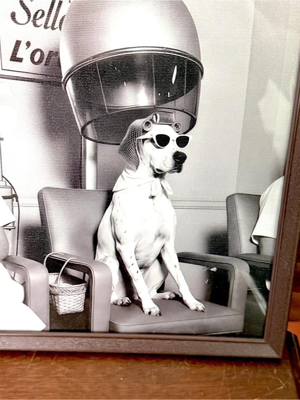 Dog Hair Salon Retro Vintage Style Canvas Wall Hanging Art Framed 8.5x10.5”